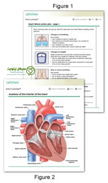 patient info uptodate feature بخش مقدماتی اطلاعات بیمار