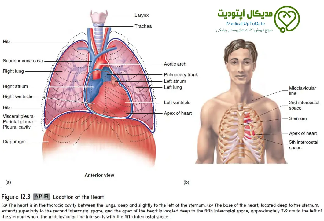 patient info uptodate بخش پیشرفته اطلاعات بیمار در امکانات uptodate